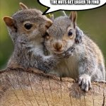 Nuts | AS THE WORLD GETS CRAZIER
THE NUTS GET EASIER TO FIND | image tagged in secret | made w/ Imgflip meme maker