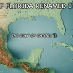 Florida Names The Gulf | IF FLORIDA RENAMED IT:; THE GULF OF GATORS 🐊 | image tagged in gulf of what,mexico,usa,memes | made w/ Imgflip meme maker