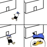 dolan apple store