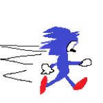 Sanic reference
