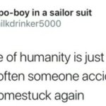 Accidentally Invents Homestuck