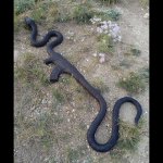 Snake