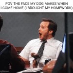 Image Title | POV THE FACE MY DOG MAKES WHEN I COME HOME (I BROUGHT MY HOMEWORK) | image tagged in gifs,memes,funny,dogs,homework,school | made w/ Imgflip video-to-gif maker