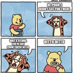 Ditto | HI, POOH. I DIDN'T SEE YOU THERE. WAIT A SECOND, YOU'RE NOT POOH! YOU'RE DITTO. DITTO DITTO | image tagged in sweet jesus pooh,bone hurting juice,anti meme | made w/ Imgflip meme maker