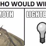 The Ultimate Showdown | MOTH; LIGHTBULB | image tagged in memes,who would win | made w/ Imgflip meme maker