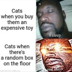 Cats. | Cats when you buy them an expensive toy; Cats when there's a random box on the floor | image tagged in memes,sleeping shaq | made w/ Imgflip meme maker