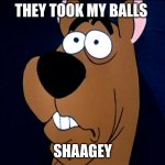 ScoobyDoo | THEY TOOK MY BALLS; SHAAGEY | image tagged in scoobydoo | made w/ Imgflip meme maker