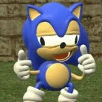 bro thing sonic