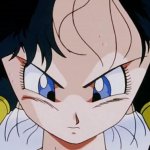 videl is ready