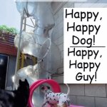 WAIT for the Last Big Dog!!! | Happy, 
Happy 
Dog! _______; Happy, 
Happy 
Guy! Doggy Day Care | image tagged in gifs,dogs,funny,lol so funny,fun times,doggy day care | made w/ Imgflip video-to-gif maker