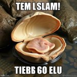 TEM LSLAM! TIEBБ 60 ELU meme