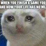 Istg | WHEN YOU FINISH A GAME YOU LOVE AND NOW YOUR LIFE HAS NO MEANING | image tagged in crying cat | made w/ Imgflip meme maker