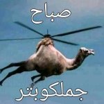 jamel
