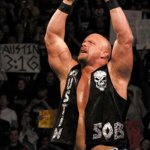 For the WWE fans