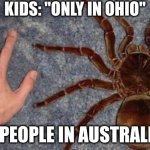 BIG spiders | KIDS: "ONLY IN OHIO"; PEOPLE IN AUSTRALIA: | image tagged in big spiders,australia,memes,relatable,spider,fun | made w/ Imgflip meme maker