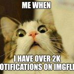 Tru | ME WHEN; I HAVE OVER 2K NOTIFICATIONS ON IMGFLIP | image tagged in memes,scared cat | made w/ Imgflip meme maker