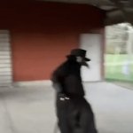 H3's finna1y gonna sh0w | My long lost dad coming to my school after my principal calls him | image tagged in gifs,funny,memes,plague doctor | made w/ Imgflip video-to-gif maker