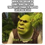 fishy fishy fishy | WHEN YOU DREAM OF
SOMETHING ONLY FOR
THAT EXACT THING TO HAPPEN
LATER ON IN LIFE | image tagged in shrek wait a minute,dream | made w/ Imgflip meme maker