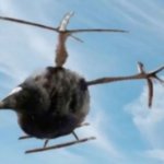 pukeko helicopter meme