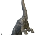 Brachiosaurus 6