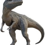 Allosaurus 12 (BABR Design)