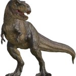 Rexy 25