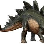 Stegosaurus 8