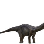 Mamenchisaurus (TLW Design)