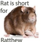 RATTHEW meme