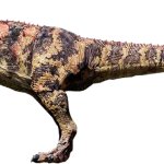 Ceratosaurus 4 (JP3 Design)