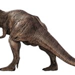 Rexy 28