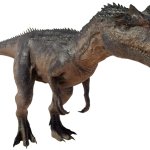 Allosaurus 14 (BABR Design)