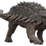 Ankylosaurus 3