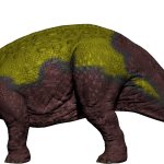 Triceratops (CE Colors)