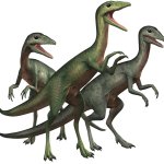 Compsognathus 8