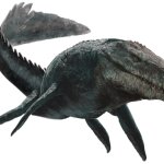 Mosasaurus 5 (JW Design)