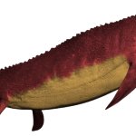 MosaCorona