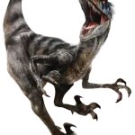 Velociraptor (JWR Design)