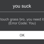 ye | you suck; touch grass bro, you need it
(Error Code: You) | image tagged in roblox error message | made w/ Imgflip meme maker