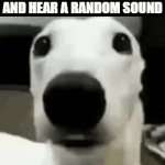 home alone | WHEN YOU'RE HOME ALONE AND HEAR A RANDOM SOUND | image tagged in gifs,memes | made w/ Imgflip video-to-gif maker