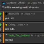 You like wearing maid dresses meme