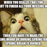 Scared Cat Meme | WHEN YOU REALIZE THAT YOU FORGOT TO FINISH ALL YOUR MISSING WORK; THEN YOU HAVE TO MAKE THE MISSING WORK UP DURING SPRING BREAK.
SPRING BREAK IS RUINED. | image tagged in memes,scared cat | made w/ Imgflip meme maker