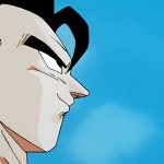 gohan sky meme