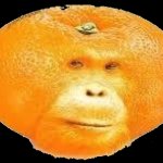 Orangeutang