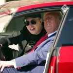 Trump Musk Tesla