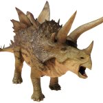 Stegoceratops 2 (JWE Design)