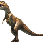Carcharodontosaurus (JWA Design)