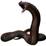 Majundaboa