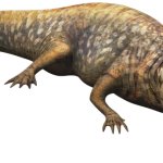 Koolasuchus (JWA Design)