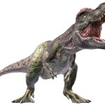 Skoonametrodon